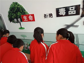 擰緊安全弦，筑牢防護(hù)網(wǎng)——煙臺(tái)龍口學(xué)校開展新時(shí)代文明實(shí)踐活動(dòng)