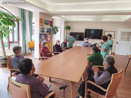 香港長者為何青睞珠海 大灣區養老的智慧選擇與煙臺教育咨詢服務的啟示